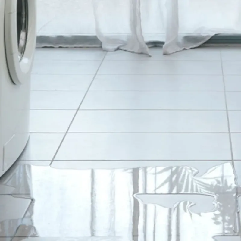 Appliance Leak Cleanup in Raoul, GA
