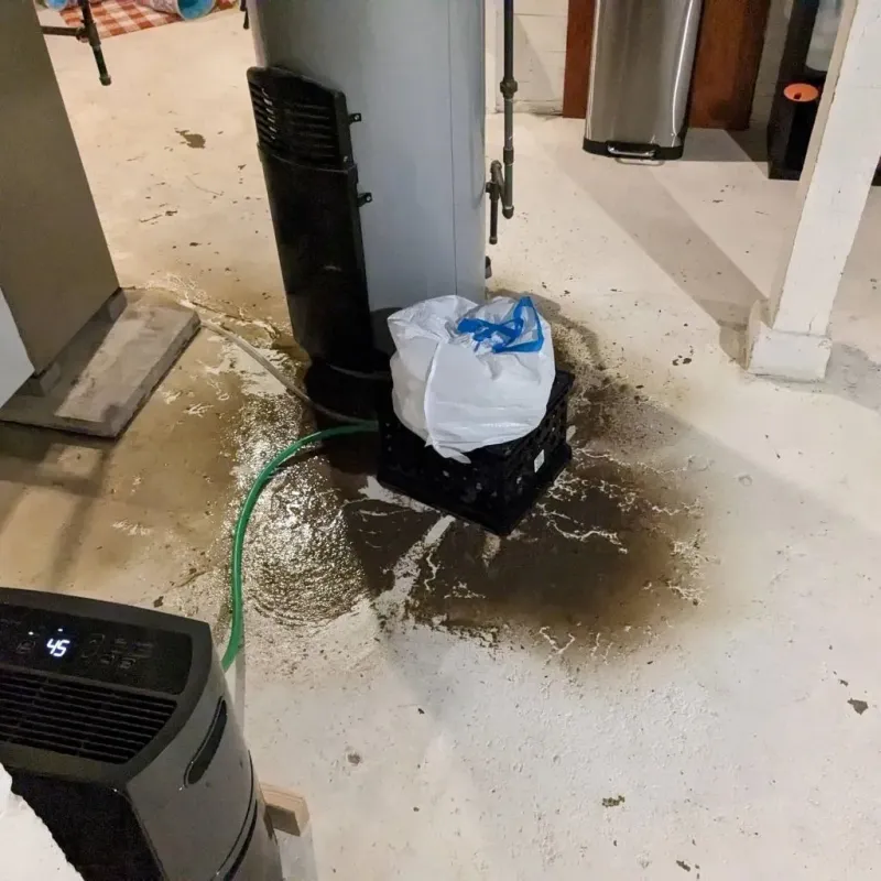 Sewage Backup Cleanup Service in Raoul, GA